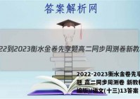2022-2023衡水金卷先享题 高二同步周测卷 新教材(部编版)/语文(十三)13答案