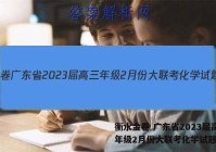 衡水金卷 广东省2023届高三年级2月份大联考化学试题答案