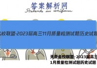 天壹名校联盟·2023届高三11月质量检测试题历史试题 答案