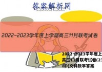 2022~2023学年度上学期高三11月联考试卷(233198D)文科数学答案