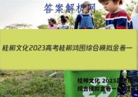 桂柳文化 2023高考桂柳鸿图综合模拟金卷一(1)政治答案