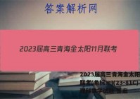2023届高三青海金太阳11月联考(角标※)(23-81C)理科数学试题 答案
