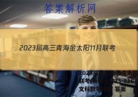 2023届高三青海金太阳11月联考(角标※)(23-81C)文科数学试题 答案