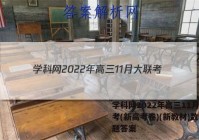 学科网2022年高三11月大联考(新高考卷)(新教材)数学试题答案