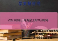 2023届高三青海金太阳11月联考(角标※)(23-81C)文科综合试题答案