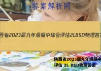陕西省2023届九年级期中综合评估 2L BSD物理答案
