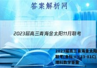 2023届高三青海金太阳11月联考(角标※)(23-81C)理科数学答案