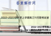 2022~2023学年度上学期高三11月联考试卷(233198D)理科数学试题答案