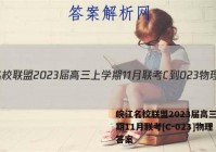 皖江名校联盟2023届高三上学期11月联考[C-023]物理答案