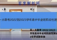 天一大联考 2022-2023学年高中毕业班阶段性测试(二)2化学试题答案