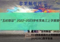 黑龙江“五校联谊”2022~2023学年度高三上学期期中考试(P3028C)数学答案