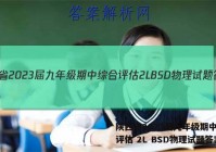 陕西省2023届九年级期中综合评估 2L BSD物理试题答案