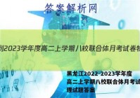 黑龙江2022-2023学年度高二上学期八校联合体月考试卷物理试题答案
