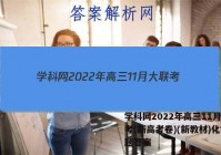 学科网2022年高三11月大联考(新高考卷)(新教材)化学试题答案
