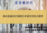 衡水金卷 2023届高三年级10月份大联考(新高考)化学答案