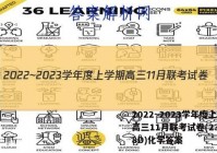 2022~2023学年度上学期高三11月联考试卷(233198D)化学答案