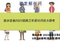 衡水金卷 2023届高三年级10月份大联考(新高考)数学答案