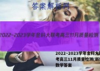 2022~2023学年金科大联考高三11月质量检测(新教材)数学答案