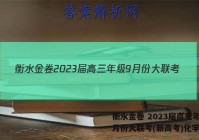 衡水金卷 2023届高三年级9月份大联考(新高考)化学答案