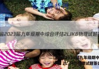 江西省2023届九年级期中综合评估 2L JKB物理试题答案
