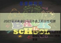 2023届河南省驻马店市高三阶段性检测(23-105C)物理答案