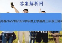 衡中同卷 2022-2023学年度上学期高三年级三调考试(新教材版L)历史试题答案