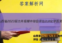 山西省2023届九年级期中综合评估 2L R化学答案