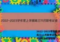 2022~2023学年度上学期高三11月联考试卷(233198D)政治试题答案