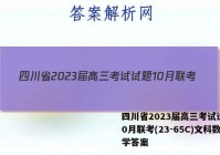 四川省2023届高三考试试题10月联考(23-65C)文科数学答案