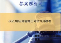 2023届云南省高三考试11月联考(905C·YN)英语试题答案