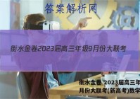 衡水金卷 2023届高三年级9月份大联考(新高考)数学答案