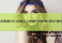 皖江名校联盟2023届高三上学期11月联考[C-023]数学答案