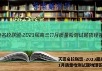 天壹名校联盟·2023届高三11月质量检测试题物理答案