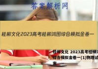 桂柳文化 2023高考桂柳鸿图综合模拟金卷一(1)物理试题答案