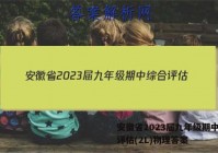 安徽省2023届九年级期中综合评估(2L)物理答案