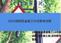 2023届陕西省高三10月联考试题(三个黑三角)文科数学试题答案