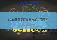2023届黑龙江高三考试11月联考(904C·HLJ)物理答案