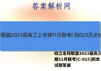 皖江名校联盟2023届高三上学期11月联考[C-023]历史试题答案