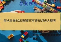 衡水金卷 2023届高三年级10月份大联考(新高考)数学试题答案