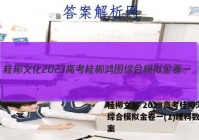 桂柳文化 2023高考桂柳鸿图综合模拟金卷一(1)理科数学答案