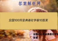 全国100所金典卷化学卷10 答案