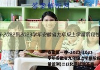 安徽第一卷·2022-2023学年安徽省九年级上学期阶段性质量监测(二)2化学试题答案