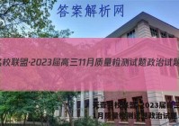 天壹名校联盟·2023届高三11月质量检测试题政治试题 答案