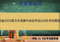 山西省2023届九年级期中综合评估 2L R化学试题答案