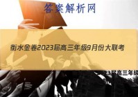 衡水金卷 2023届高三年级9月份大联考(新高考)政治试题答案