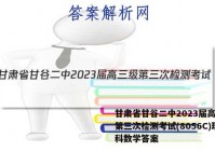 甘肃省甘谷二中2023届高三级第三次检测考试(8056C)理科数学答案