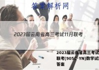 2023届云南省高三考试11月联考(905C·YN)数学试题答案