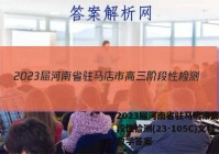 2023届河南省驻马店市高三阶段性检测(23-105C)文科数学答案
