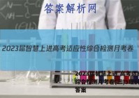 2023届智慧上进 高考适应性综合检测月考卷(三)3理科数学答案