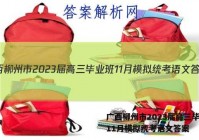 广西柳州市2023届高三毕业班11月模拟统考语文答案